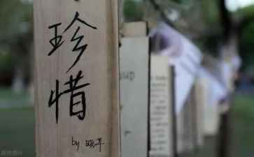 作文《珍惜》800字6篇