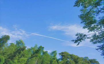 暑假夏令营活动策划最新5篇