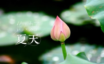 夏优秀作文800字通用6篇