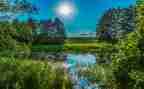 写夏日的作文7篇