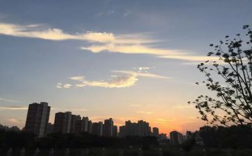 四年级下班主任学期工作总结优质6篇