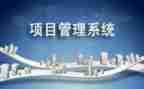 项目办的年度工作计划8篇