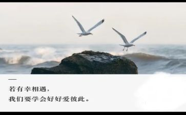 至相遇作文模板8篇