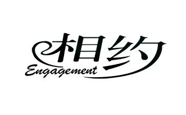 相约2024年作文模板6篇