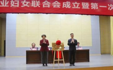 乡镇妇联个人总结8篇