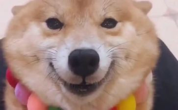 一个微笑作文8篇