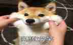 以微笑为主题的作文5篇