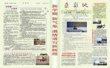 学校报告总结通用6篇