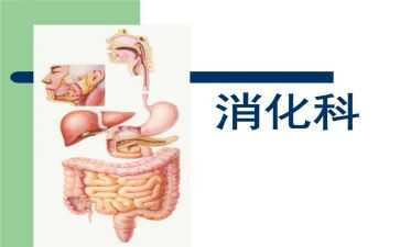消化科护士年度总结6篇