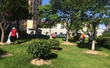 小区物业保安班长年终总结8篇