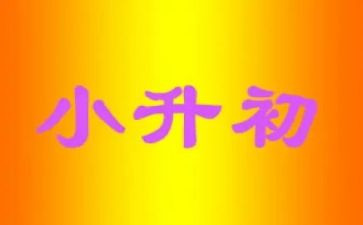 2024年小升初简历模板7篇
