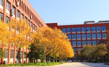 校园工作计划参考5篇