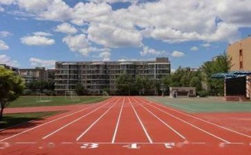 校园伴我成长作文8篇