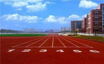 三零校园年度工作计划8篇