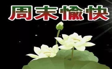 我的一个星期天的作文精选6篇