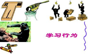 小学生行为规范讲话稿7篇