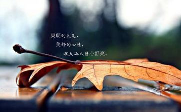 好心情600字作文5篇