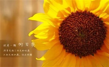 新一年级年级工作计划7篇