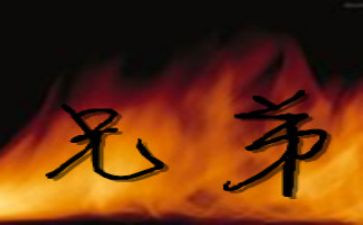 作文兄弟俩读后感6篇