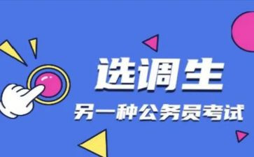 选调生工作心得体会6篇