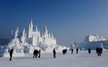 学生除雪活动总结报告7篇
