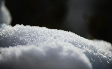 写雪作文最新8篇