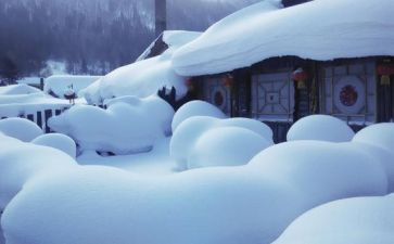 大雪教案6篇