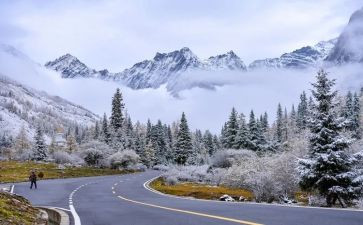 除雪培训总结参考5篇