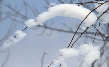 写雪作文400字6篇