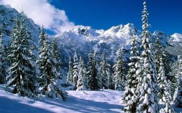 除雪培训总结通用6篇