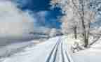 秋天的雪的作文600字模板8篇