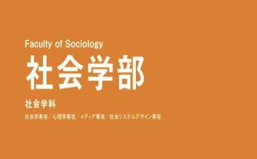 学部主任述职报告6篇
