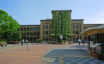 大学部长工作计划范文6篇