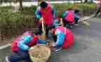2024小学学雷锋活动总结6篇