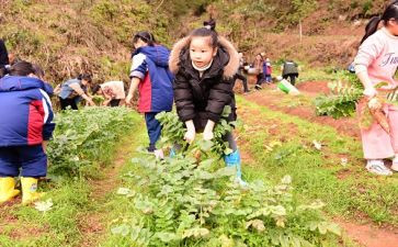 小学农村述职报告优秀7篇