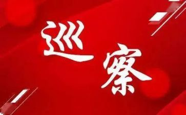 2023向巡察组工作汇报6篇