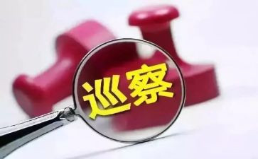 巡察组长工作总结6篇