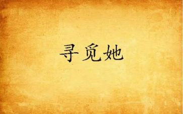 寻觅的作文通用8篇