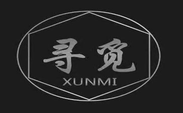 寻觅的作文600字8篇