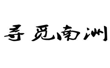 寻觅的作文参考8篇