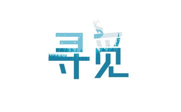 寻觅的作文800字8篇