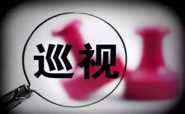 个人巡视工作总结7篇