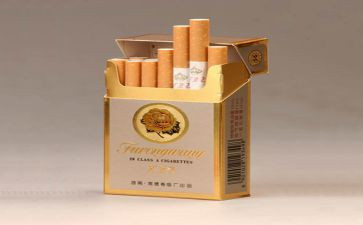 烟和酒心得体会最新5篇