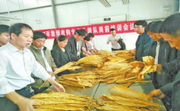 检验员2023工作总结6篇