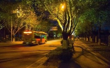 《天方夜谭》的读后感8篇