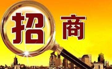 2023招商引资工作总结6篇