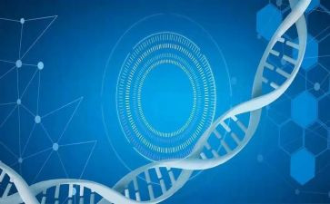 医学学生总结报告8篇
