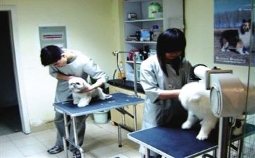 上半年医院个人总结6篇