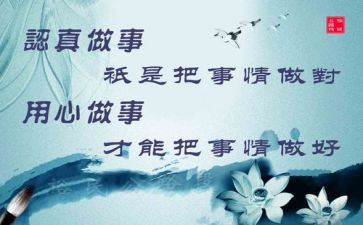 用心做的心得体会6篇