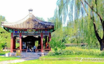 六一幼儿园游园活动方案8篇